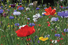 ‘Plant These’ Wildflower Seed Birthday Party Favours